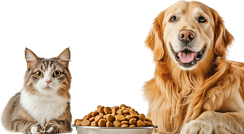Godrej Petcare. Pet Food.