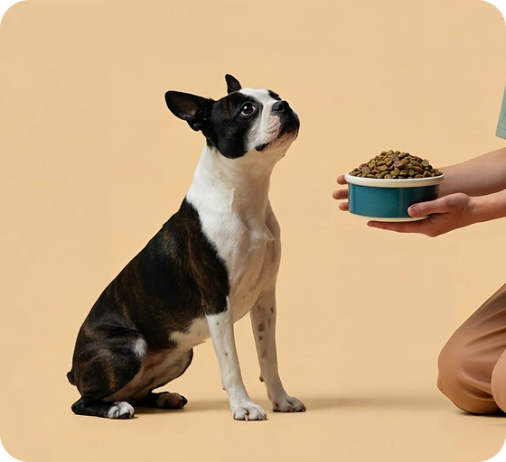 A Complete Range of High-Quality Dry Dog Foods