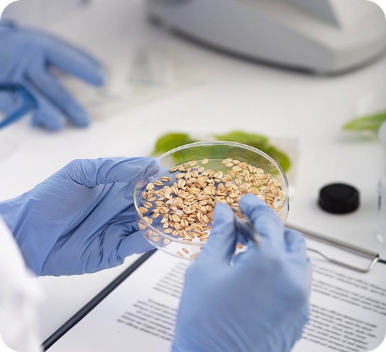 Where nutrition meets next-generation thinking