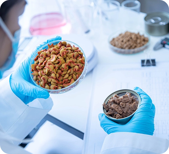 The science behind every recipe